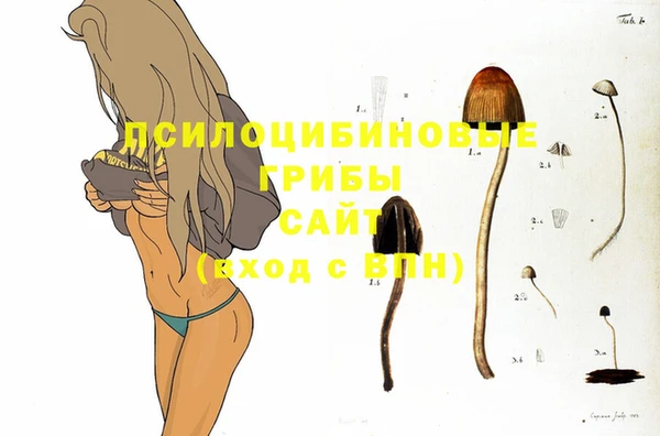 гидра Алзамай