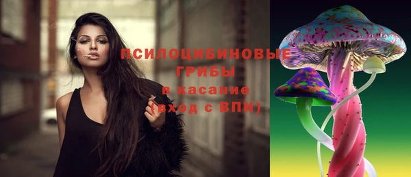 стаф Алексеевка