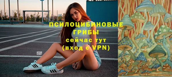 стаф Алексеевка