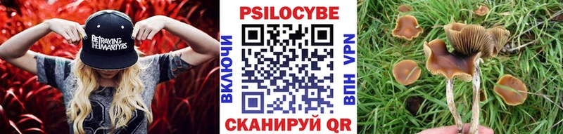 что такое   Богородск  Псилоцибиновые грибы GOLDEN TEACHER 