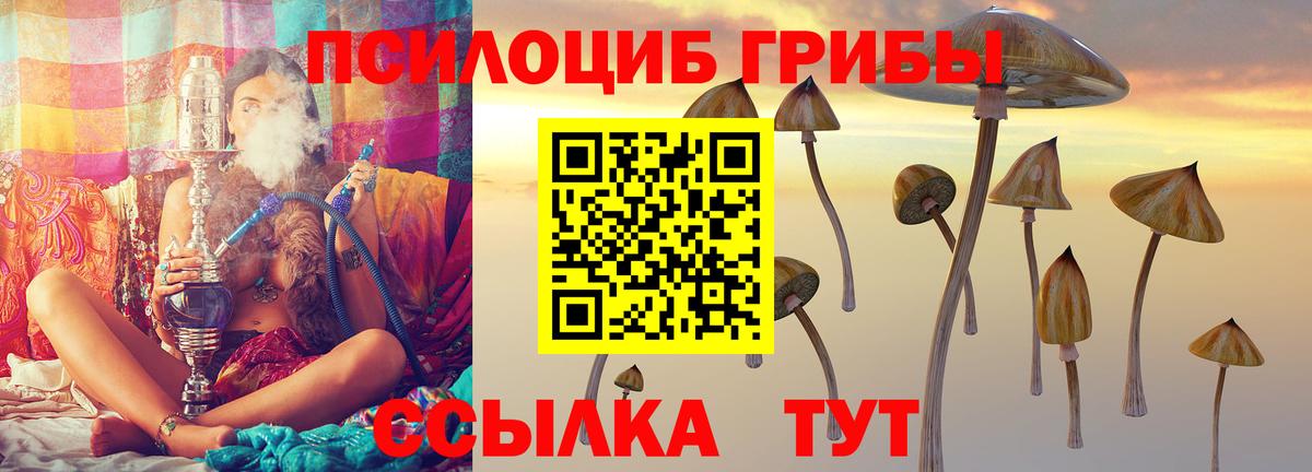Галлюциногенные грибы мицелий Богородск